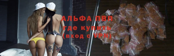 крисы Богородск