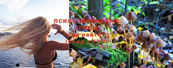 PSILOCYBIN Богданович