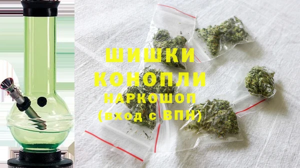 PSILOCYBIN Богданович