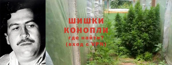 крисы Богородск