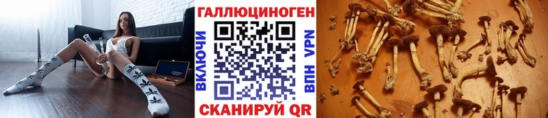 как найти закладки  Безенчук  Галлюциногенные грибы MAGIC MUSHROOMS 
